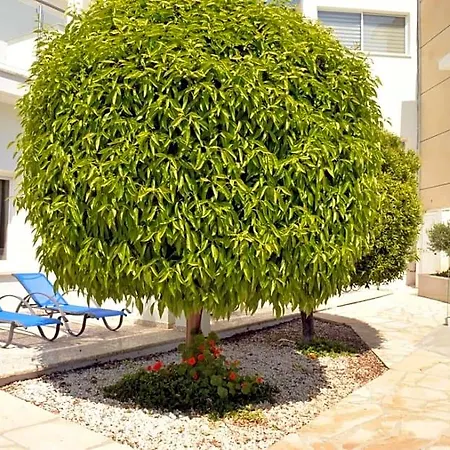فندق Fedrania Gardens 2*